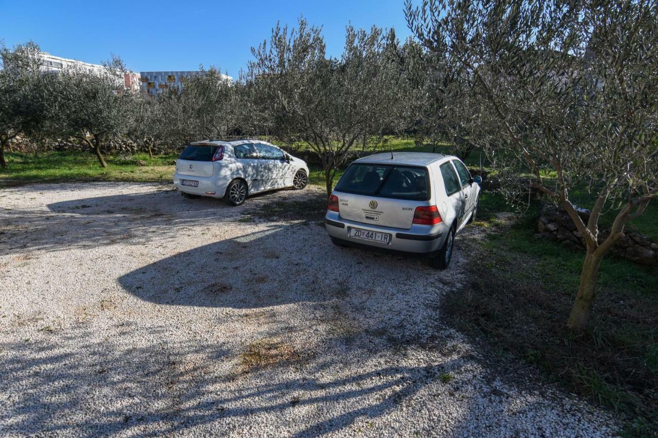 F-Holiday Apartment Zadar Eksteriør bilde